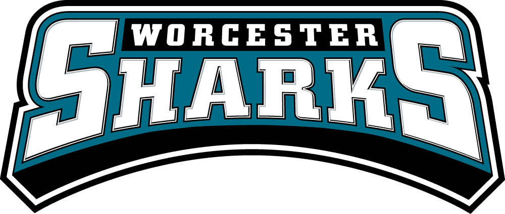 Worcester Sharks 2006 07-Pres Wordmark Logo iron on transfers for clothing